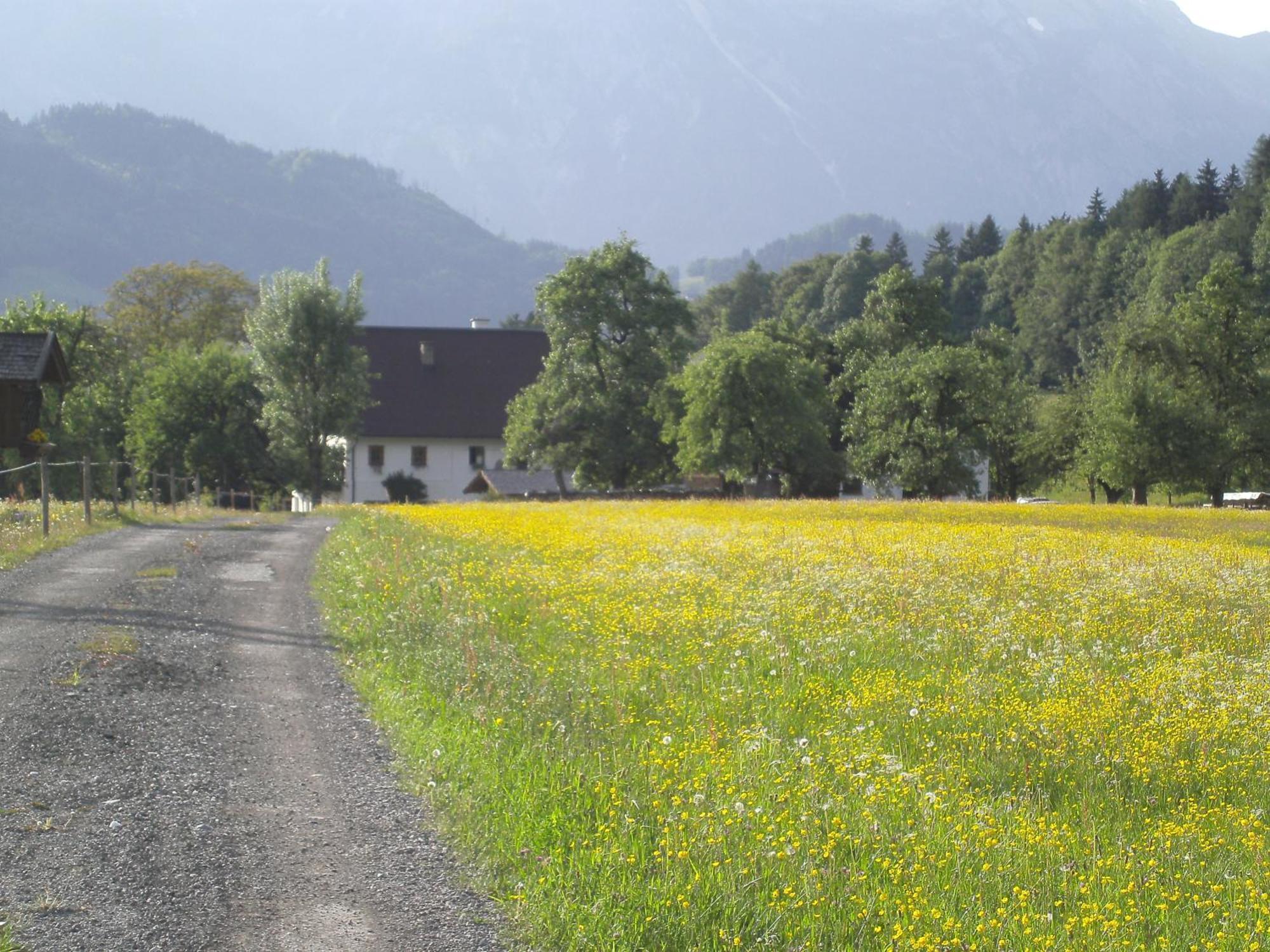 Haus Rieder Apartamento Pfarrwerfen Exterior foto